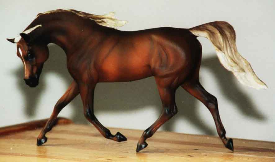 trotting Arab Stallion
