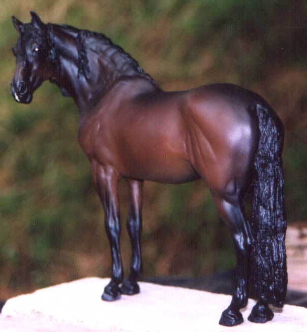 Andalusian Bravioso