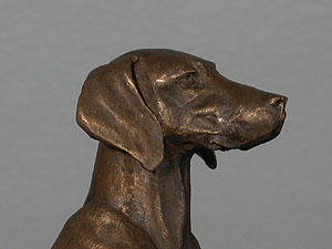 Weimaraner