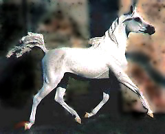 Arabianmare