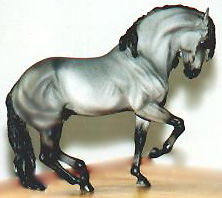 Andalusian