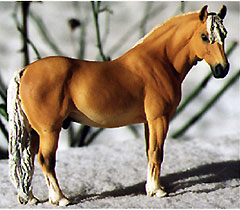 Haflinger