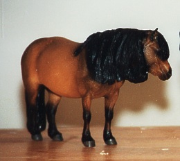 Shetland Mare