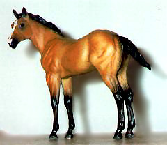 QH Foal