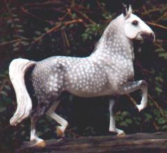 Lipizzaner