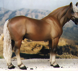 Haflinger